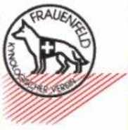KV Frauenfeld