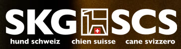 SKG Logo